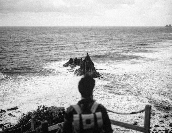 Quelles sont les plantes couvre-sol les plus résistantes pour un jardin ombragé?